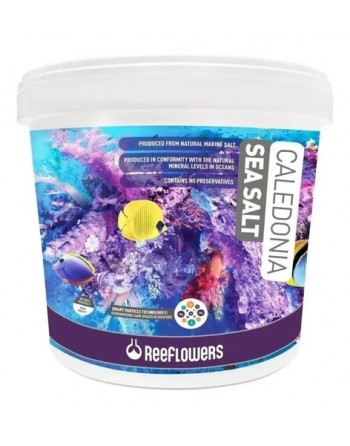 Reeflowers Caledonia Sea...