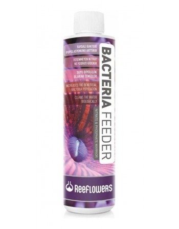 Bacteria Feeder Reeflowers...